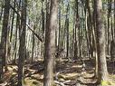 Lot 3 Beaver Row, Labelle, NS 