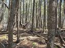 Lot 3 Beaver Row, Labelle, NS 