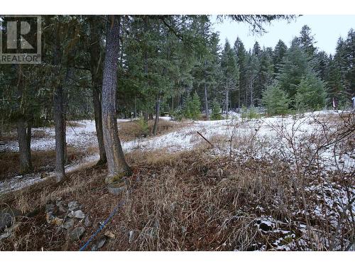 217 Mountview Drive, Williams Lake, BC - Outdoor With View