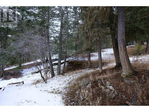 217 Mountview Drive, Williams Lake, BC - Outdoor With View