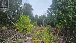 PT LT 23 CON 2 WBR PT 1 HIGHWAY 6 HIGHWAY  Northern Bruce Peninsula, ON N0H 1Z0