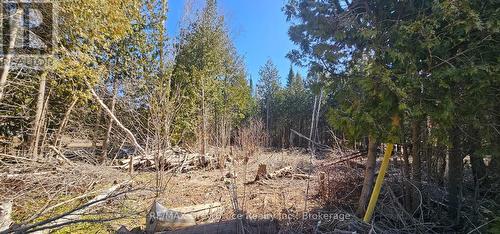 Pt Lt 23 Con 2 Wbr Pt 1 Highway 6 Highway, Northern Bruce Peninsula, ON 