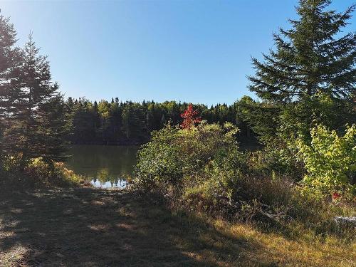 Lot 17 Helmuts Lane, Cleveland, NS 