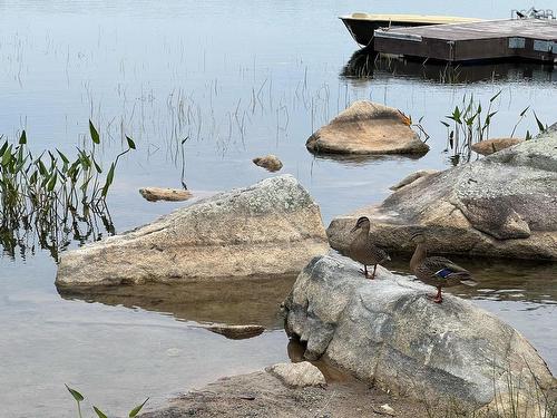 8199 Granite Ridge Road, Birchtown, NS 