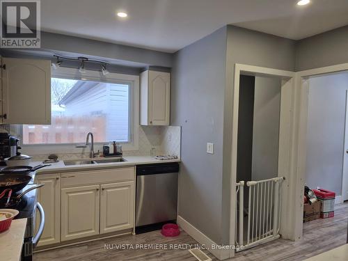 324 Auburn Avenue, London, ON - Indoor Photo Showing Kitchen With Double Sink