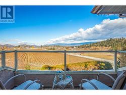 View of the vineyard and orchard from the front balcony - 