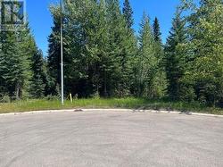 8 DOGWOOD Place  Elkford, BC V0B 1H0