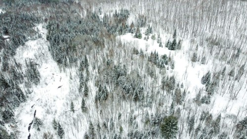 Vue d'ensemble - 846 Côte À Favier, Namur, QC - Outdoor