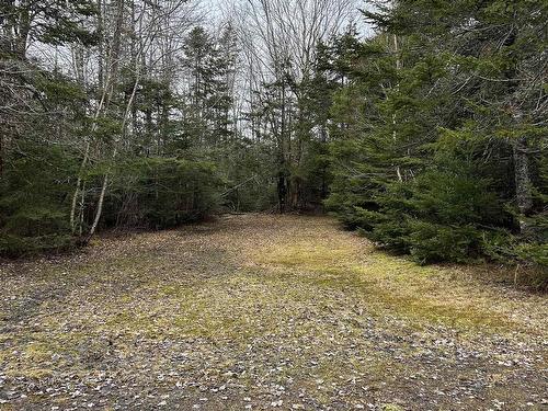 3410 Old Guysborough Road, Devon, NS 