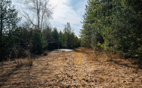 0 Third Line, Erin, ON 