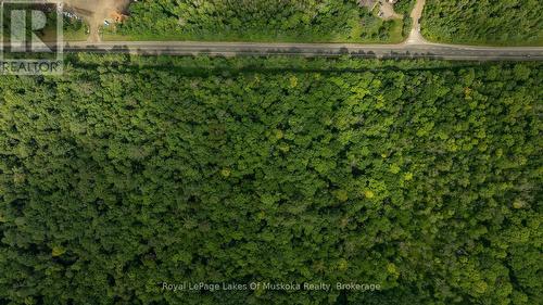 2750 Muskoka 117 Road, Lake Of Bays (Mclean), ON 