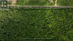 2750 MUSKOKA 117 ROAD  Lake Of Bays (Mclean), ON P0B 1A0