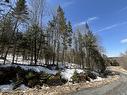 Land/Lot - Ch. Des Éperviers, Nominingue, QC 