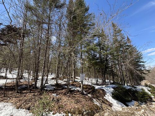 Land/Lot - Ch. Des Éperviers, Nominingue, QC 