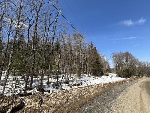 Land/Lot - Ch. Des Éperviers, Nominingue, QC 