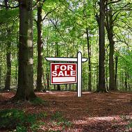 0 NO 3 HIGHWAY ALLENDALE  Shelburne, NS B0T 1W0