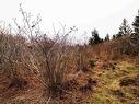 Lot 39 Quaco Road, Port Maitland, NS 