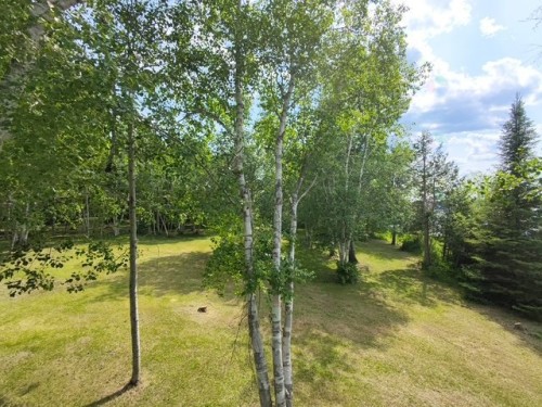 Courtyard - 2072 Ch. De Moffet-Latulipe, Latulipe-Et-Gaboury, QC - Outdoor With View