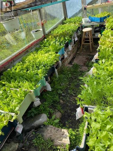 44 Neck Road, Fogo Island (Little Seldom), NL - Outdoor