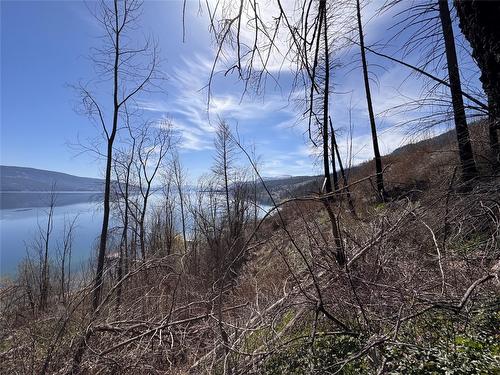 Lot 25 Hodges Road, Vernon, BC - Outdoor With View