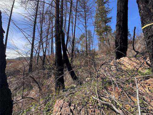 Lot 25 Hodges Road, Vernon, BC - Outdoor With View