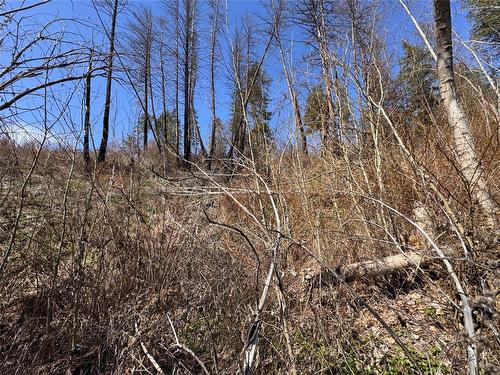 Lot 25 Hodges Road, Vernon, BC - Outdoor With View