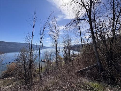 Lot 25 Hodges Road, Vernon, BC - Outdoor With View