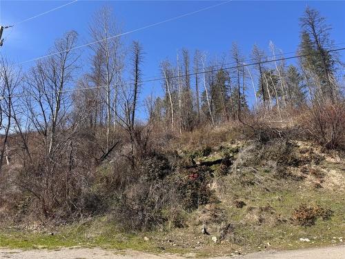 Lot 25 Hodges Road, Vernon, BC - Outdoor With View