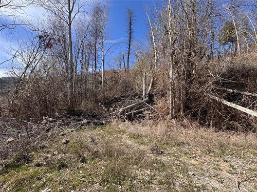 Lot 25 Hodges Road, Vernon, BC - Outdoor With View