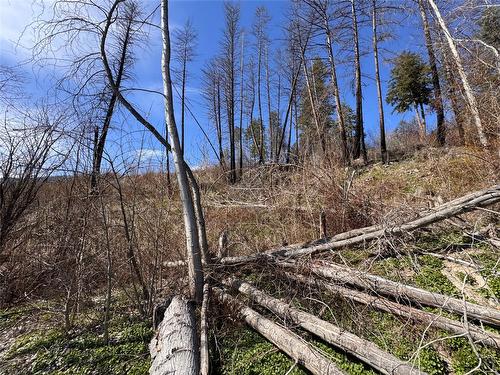 Lot 25 Hodges Road, Vernon, BC - Outdoor With View