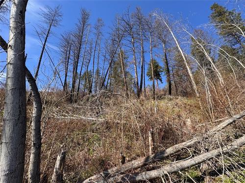 Lot 25 Hodges Road, Vernon, BC - Outdoor With View