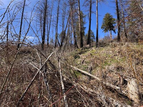 Lot 25 Hodges Road, Vernon, BC - Outdoor With View