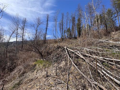 Lot 25 Hodges Road, Vernon, BC - Outdoor With View