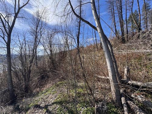 Lot 25 Hodges Road, Vernon, BC - Outdoor With View