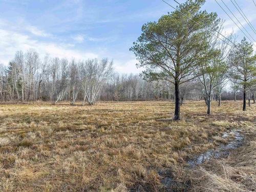 Lot Highway 201, Centrelea, NS 