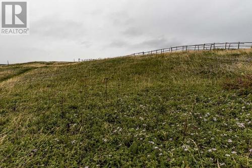 7A Flagstaff Lane, St. Bride'S, NL 