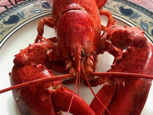 Lot 18-3 Ince Drive, Hampton, PE 