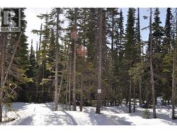 Pr. St Lt 13 ALPINE WAY Smithers, BC V0J 2N0
