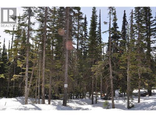 Pr. St Lt 13 Alpine Way, Smithers, BC 