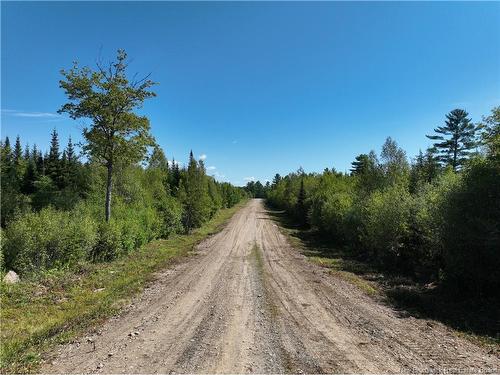 7 Crest Ave, Heathland, NB 