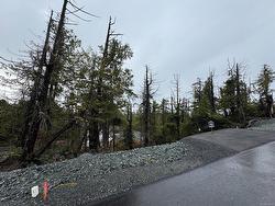 Lot 92 Shore Pine Dr  Ucluelet, BC V0R 3A0