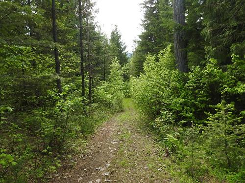 1433 Sugar Lake Road, Cherryville, BC - Outdoor