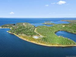 Eric Lane  Hay Cove, NS B0E 3B0