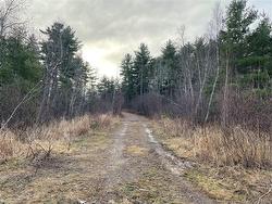 - Route 105  Youngs Cove, NB E4C 2C2