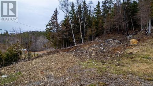 97 Lambert, Lamberts Cove, NB 