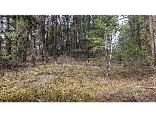 Lot 3 Summit Road, Canim Lake, BC 