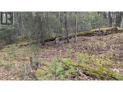 Lot 3 Summit Road, Canim Lake, BC 
