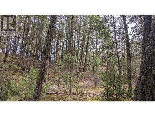 Lot 3 Summit Road, Canim Lake, BC 