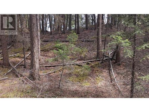 Lot 3 Summit Road, Canim Lake, BC 