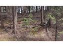 Lot 3 Summit Road, Canim Lake, BC 